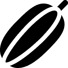 Vegetable Delicata Squash Icon from Ultimate Bold Set