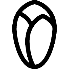 Vegetable Endive Icon from Ultimate Regular Set