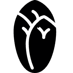 Vegetable Endive Icon from Ultimate Bold Set