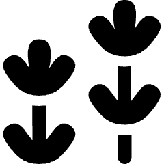 Vegetable Lavender Icon from Ultimate Bold Set