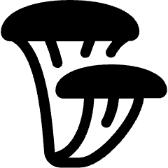 Vegetable Mushroom Oyster Icon from Ultimate Bold Set