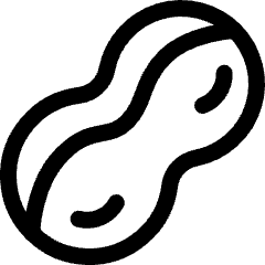 Vegetable Nuts Peanut Icon from Ultimate Regular Set