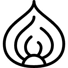 Vegetable Onion Slice Icon from Ultimate Light Set