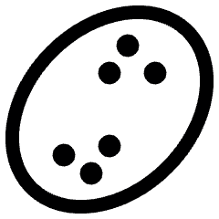 Vegetable Potato Icon from Ultimate Regular Set