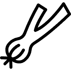 Vegetable Scallion Spring Onion 2 Icon from Ultimate Light Set