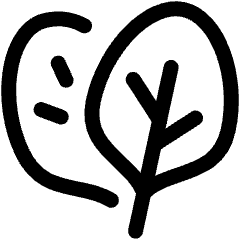 Vegetable Spinash Icon from Ultimate Regular Set