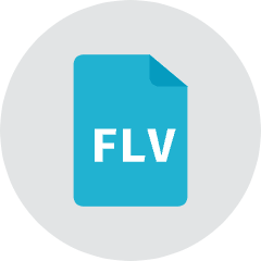 Flv File Icon from Kameleon Colors Set