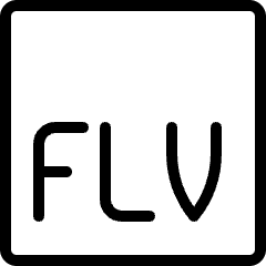 Vide Document Flv 1 Icon from Ultimate Light Set