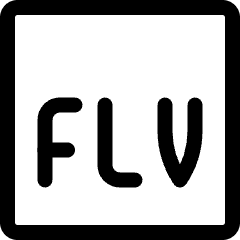 Vide Document Flv 1 Icon from Ultimate Regular Set