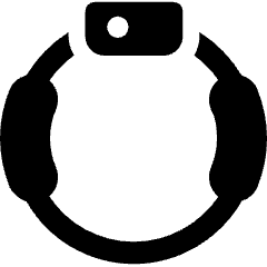 Switch Ring Fit Icon from Ultimate Bold Set