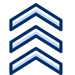 Rank Army 2 Icon from Cyber Duotone Set