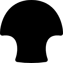 Wrap Shell Upper Icon from Flex Solid Set