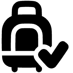 Carry On Bag Check Icon from Plump Solid Set