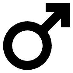 Man Symbol Icon from Sharp Solid Set