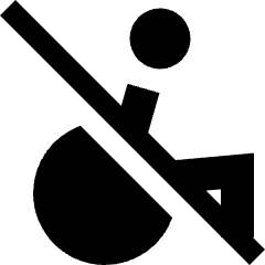 Not Accessible Icon from Sharp Solid Set