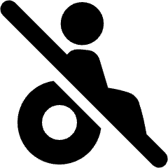 Not Accessible Icon from Plump Solid Set