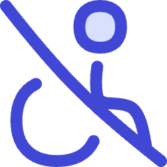 Not Accessible Icon from Flex Duo Set