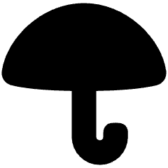 Open Umbrella Icon from Plump Solid Set