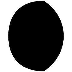 Waning Gibbous Moon Icon from Flex Solid Set