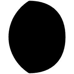 Waxing Gibbous Moon Icon from Flex Solid Set