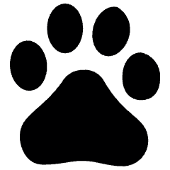 Baidu Logo Icon from Ultimate Bold Set