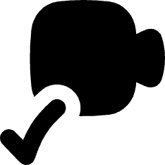 Webcam Video Call Check Icon from Flex Solid Set