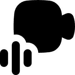 Webcam Video Call Voice Icon from Flex Solid Set
