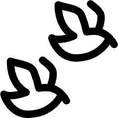 Wild Bird Flock Icon from Ultimate Regular Set