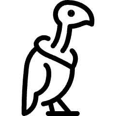Wild Bird Vulture Icon from Ultimate Light Set