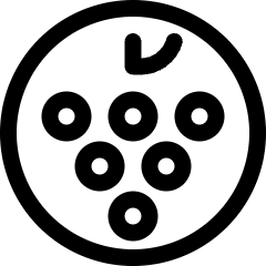 Wine Grapes Icon from Ultimate Regular Set