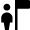 User Action Flag Icon from Nova Solid Set