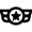 Wings Badge Star Icon from Atlas Line Set