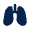 Lungs Fill Icon from Mingcute Fill Set