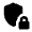 Shield Locked Fill Icon from Outlined Fill - Material Pro Set