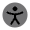 Accessibility Icon from Solar Bold Duotone Set