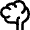 School Brain Icon from Nova Line Set