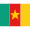 CM Cameroon Icon from Flagpack Set