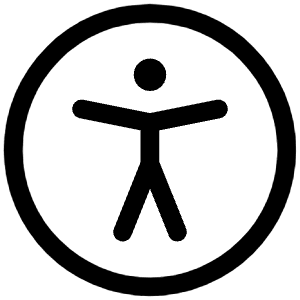 Accessibility Icon from Iconoir Regular Set