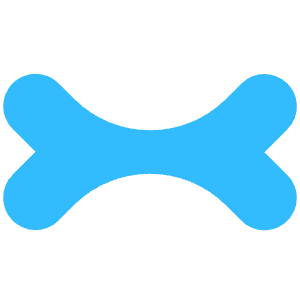 Apidog Icon Icon from SVG Logos Set