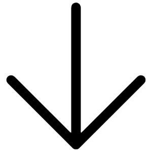 Arrow Down Icon from Iconoir Regular Set