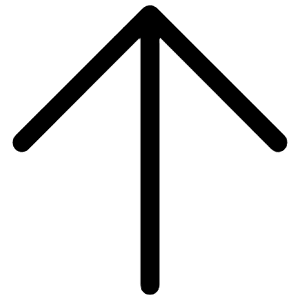 Arrow Up Icon from Iconoir Regular Set