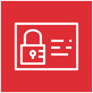 Aws Iam Icon from SVG Logos Set