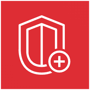Aws Shield Icon from SVG Logos Set