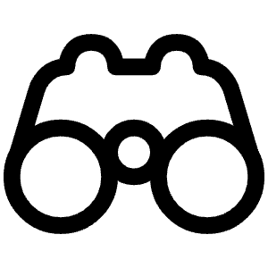 Binocular Icon from Iconoir Regular Set