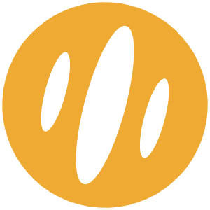 Brotli Icon from SVG Logos Set