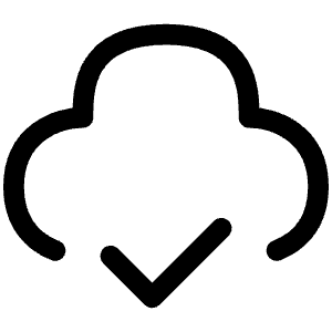 Cloud Check Icon from Iconoir Regular Set