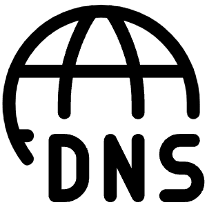 Dns Icon from Iconoir Regular Set