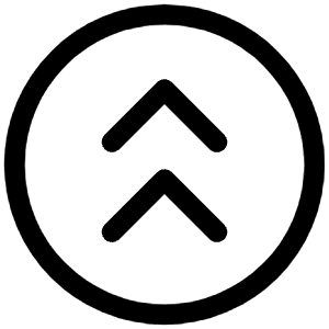 Fast Up Circle Icon from Iconoir Regular Set