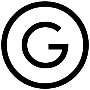 Google Circle Icon from Iconoir Regular Set