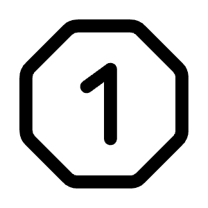 One Octagon Icon from Mynaui Line Set